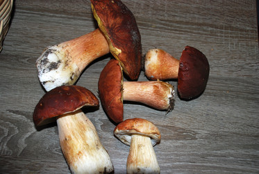 Similar image 21641346