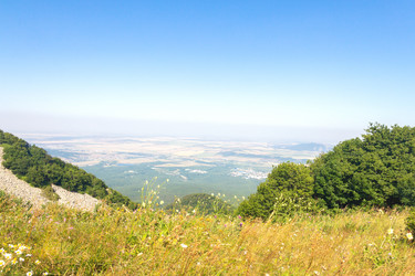 Similar image 21642538