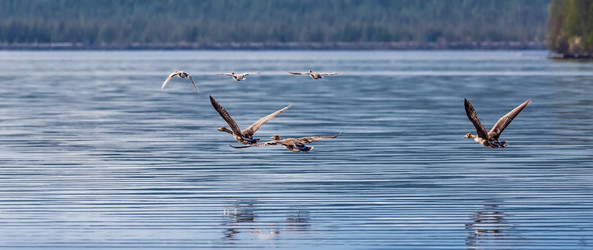 Similar image 21640534