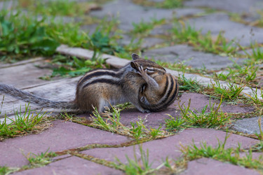 Similar image 21640535