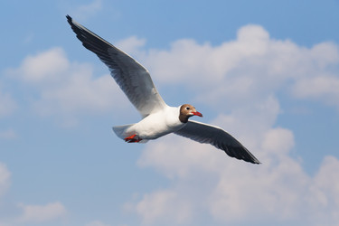 Similar image 21640536