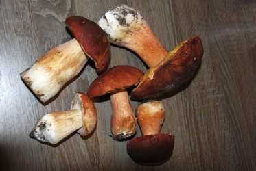 Similar image 21640949