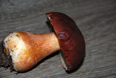 Similar image 21640952