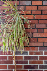 Similar image 21640955