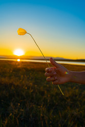 Similar image 21640477