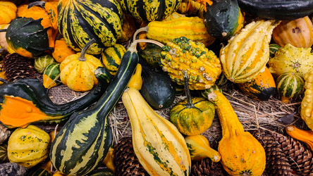 Similar image 21644109