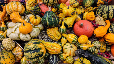 Similar image 21644110