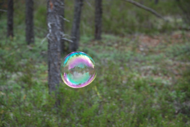 Similar image 21642664