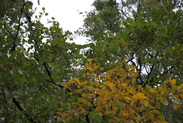 Similar image 21642667