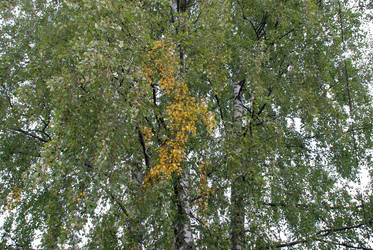 Similar image 21642672