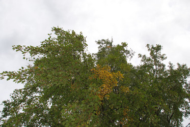 Similar image 21642674