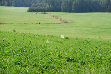 Similar image 21642682