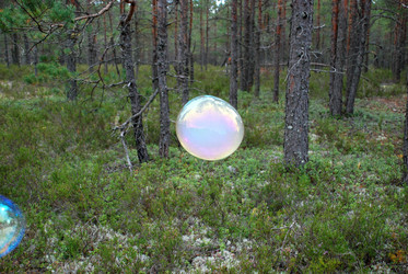 Similar image 21642688