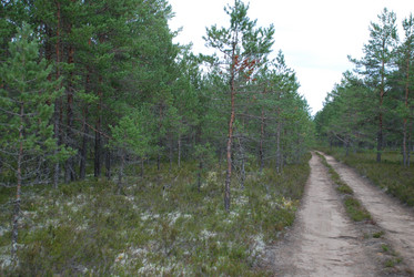 Similar image 21642690