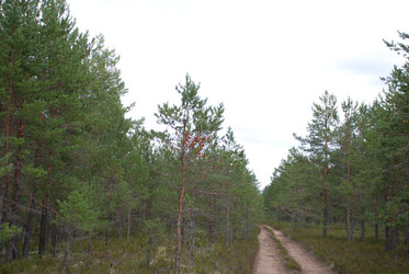 Similar image 21642692