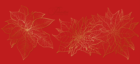 Similar image 21649500