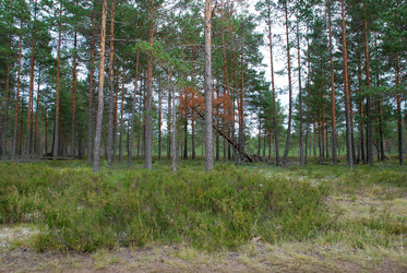 Similar image 21642708