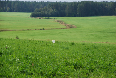 Similar image 21642716