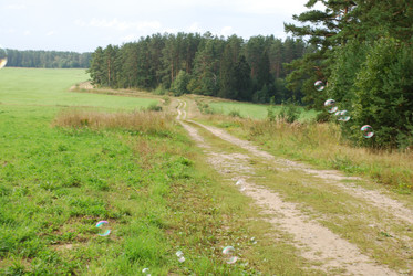 Similar image 21642719