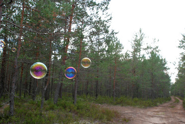 Similar image 21642729