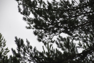 Similar image 21642731