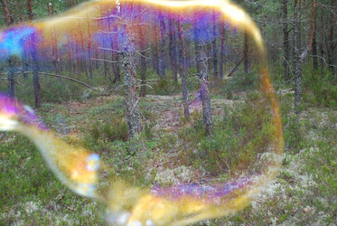 Similar image 21642735