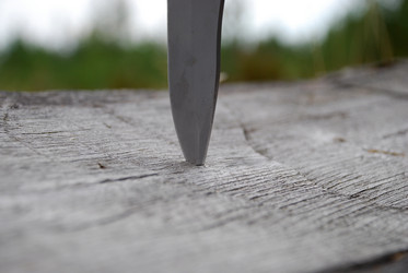 Similar image 21642737