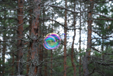 Similar image 21642741