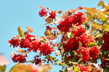 Similar image 21644113