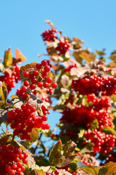 Similar image 21644114