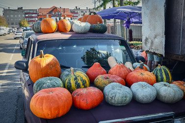 Similar image 21644115