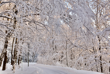 Similar image 21643947