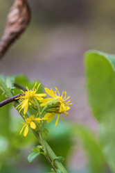 Similar image 21644619