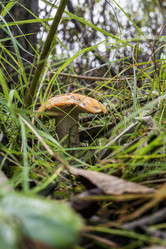 Similar image 21642754