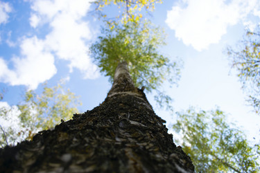 Similar image 21643949