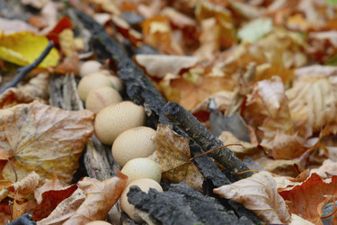 Similar image 21643951