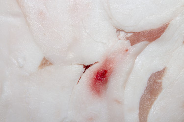 Similar image 21649275