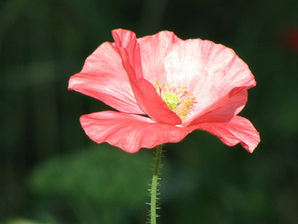 Similar image 21642762