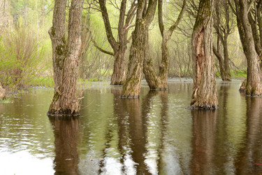 Similar image 21647934