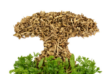 Similar image 21649291