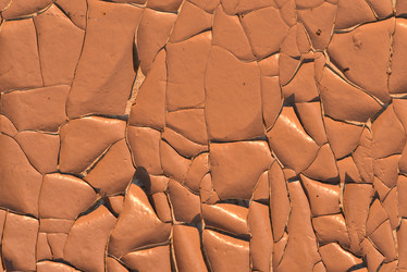 Similar image 21642582