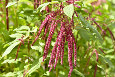 Similar image 21644912