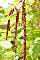 Similar image 21644913