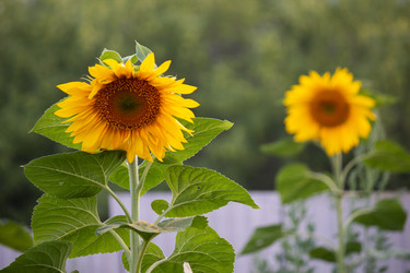 Similar image 21643956