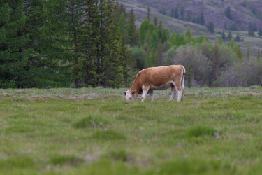 Similar image 21643958