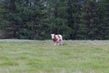 Similar image 21643959