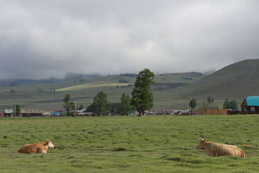 Similar image 21643962