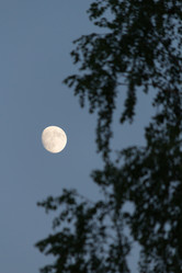 Similar image 21644116