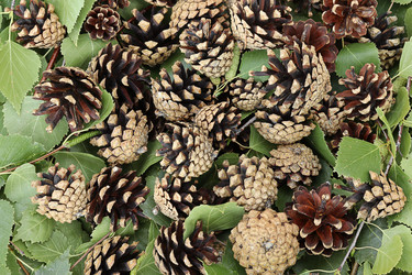 Similar image 21644119