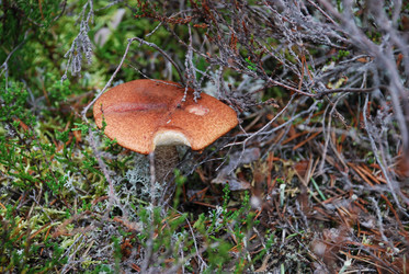 Similar image 21645057